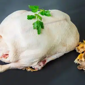 dumb duck