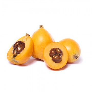 Loquat