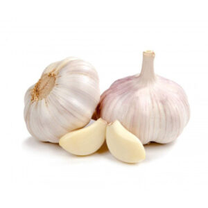 Mature Garlic Bulbs