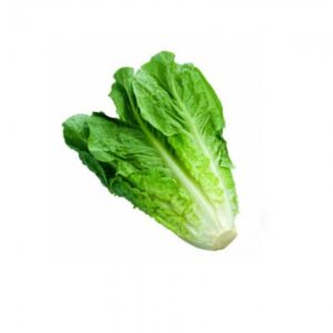 Lettuce
