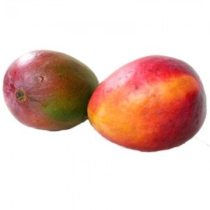 National Mango