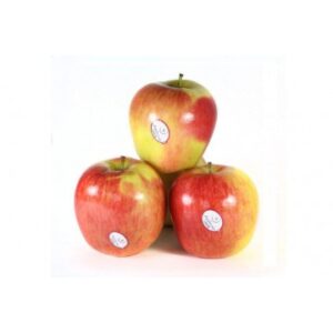 Ambrosia Apple