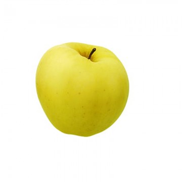 Golden Apple