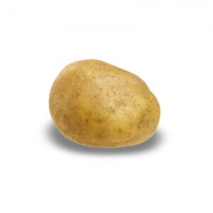 Potato