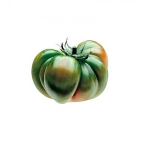 Raf Tomato